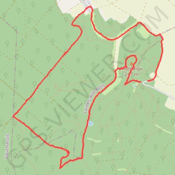 Itinéraire Souligny Marche à pied, distance, dénivelé, altitude, carte, profil, trace GPS