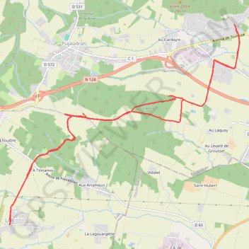 Itinéraire De Tellère près de la forêt de Bouconne à Lias, distance, dénivelé, altitude, carte, profil, trace GPS