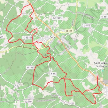 Itinéraire Boucle VTT depuis Saint-Sulpice-de-Cognac, distance, dénivelé, altitude, carte, profil, trace GPS